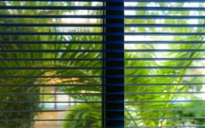 Window Covering Benefits