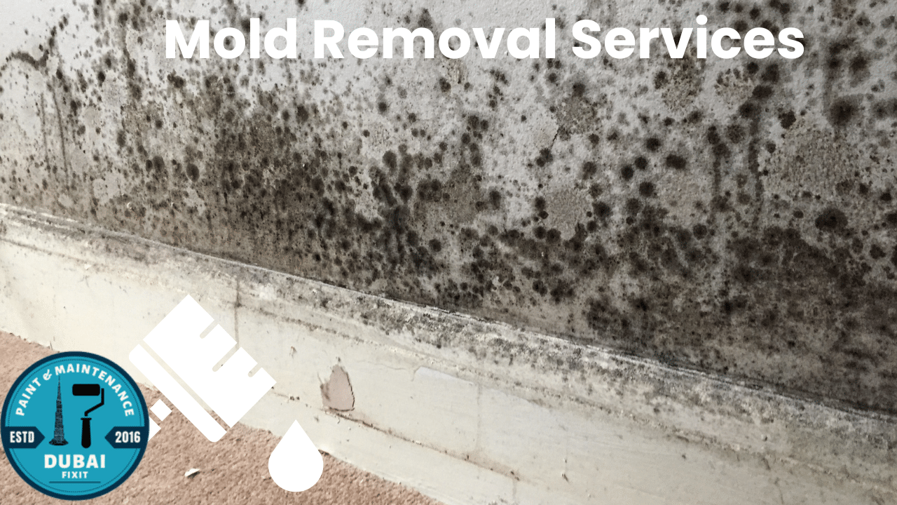 Mold Removal Services in Dubai