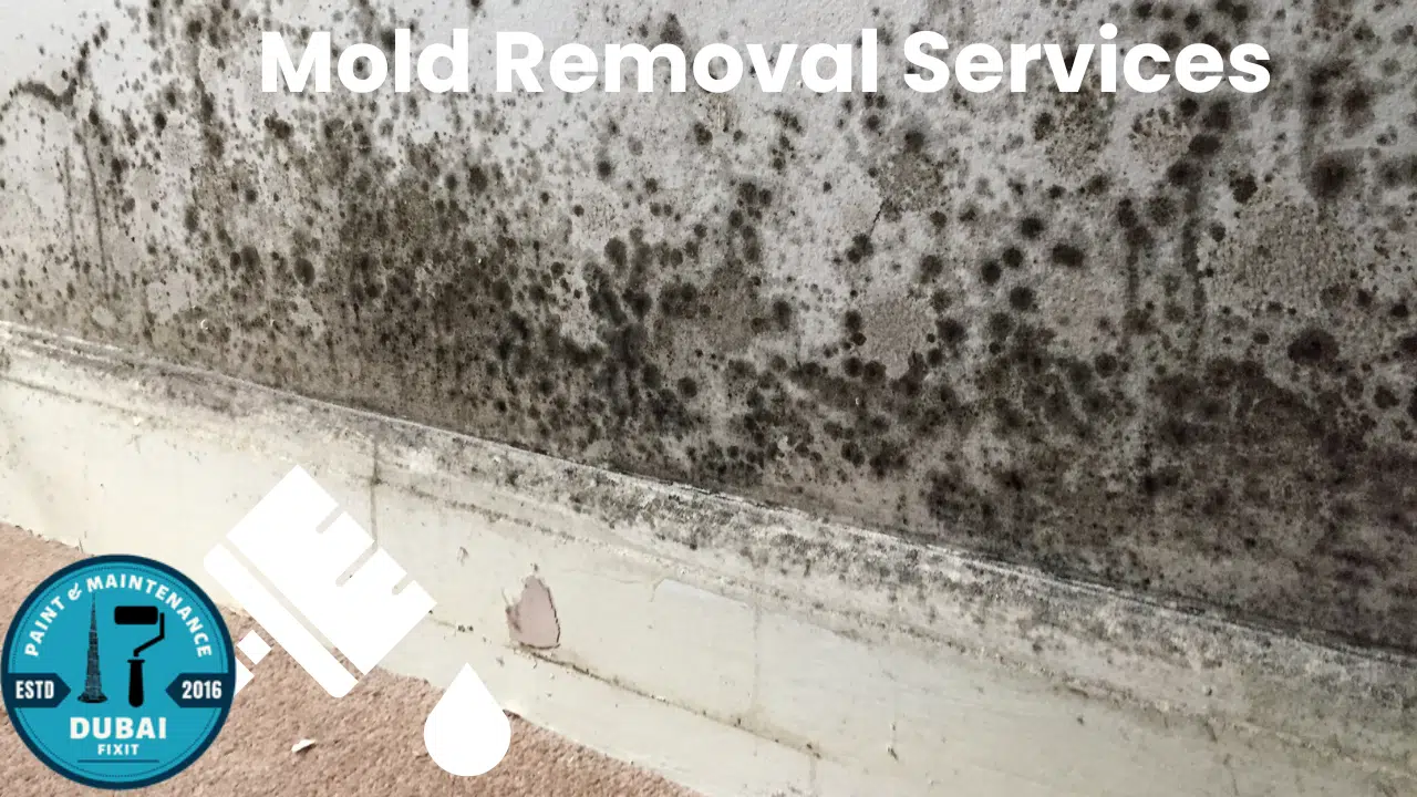 Mold Removal Services in Dubai